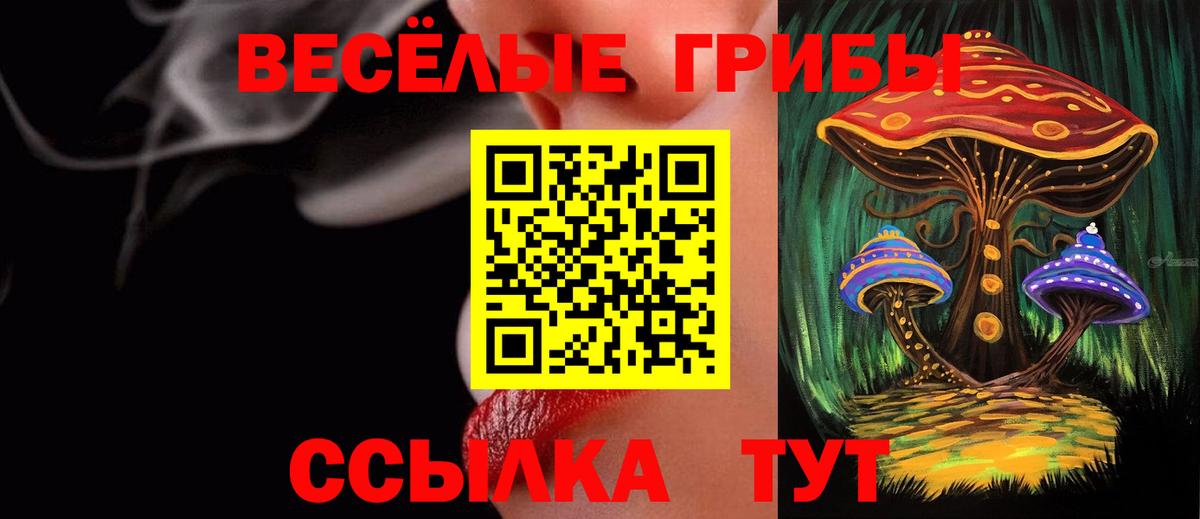 Галлюциногенные грибы Psilocybe  Вход с VPN  Алапаевск  Псилоцибиновые грибы Psilocybe 
