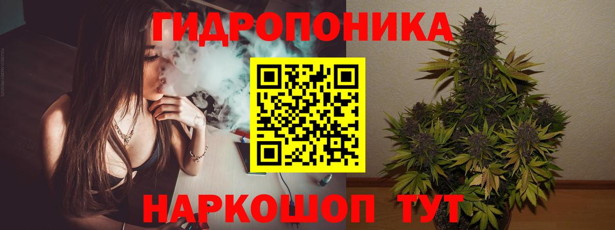 Марихуана план Алапаевск